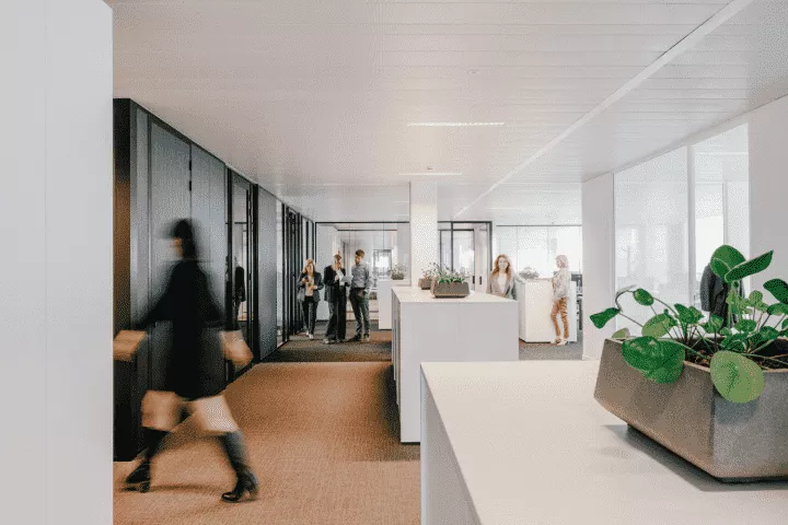 busy astrea office